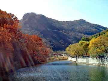 新澳天天开奖资料大全旅游团，多花木兰